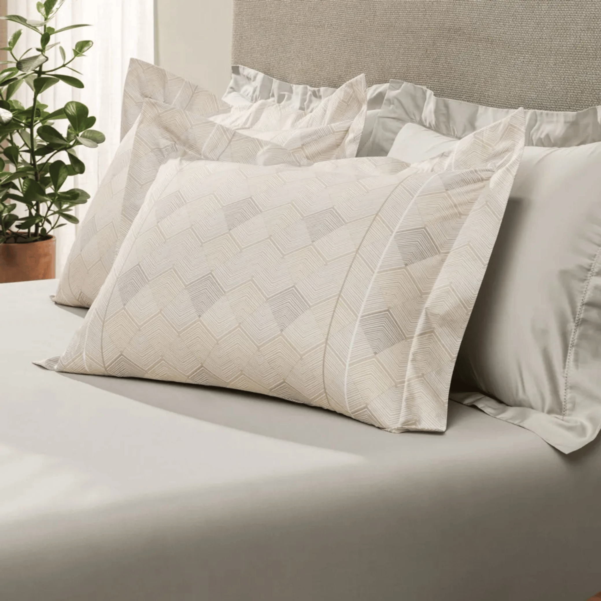 Jogo de Roupa de Cama Queen 3 Peças Altenburg Algodão 200 Fios Lux Angular