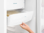 Refrigerador Electrolux 240L RE31 Cycle Defrost Branco 220V