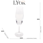 Taça para Degustação de Champagne Cristal Sommelier Coliseu