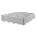 Colchão Privilege King Ecoflex Molas Ensacadas Wide 193x203x35cm Prata