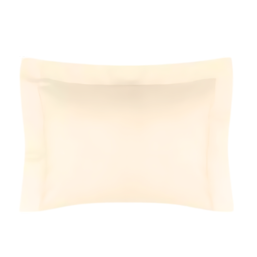 Fronha Percal Altenburg 180 Fios 50x90cm Bege