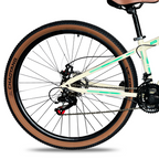 Bicicleta Colli Viena Aro 29 Freio a Disco 21 Velocidades com Cestinha Bege